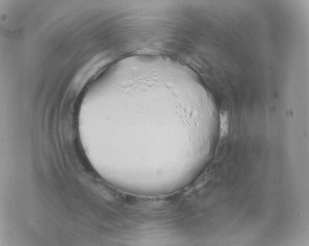 X0000071330291200607212014