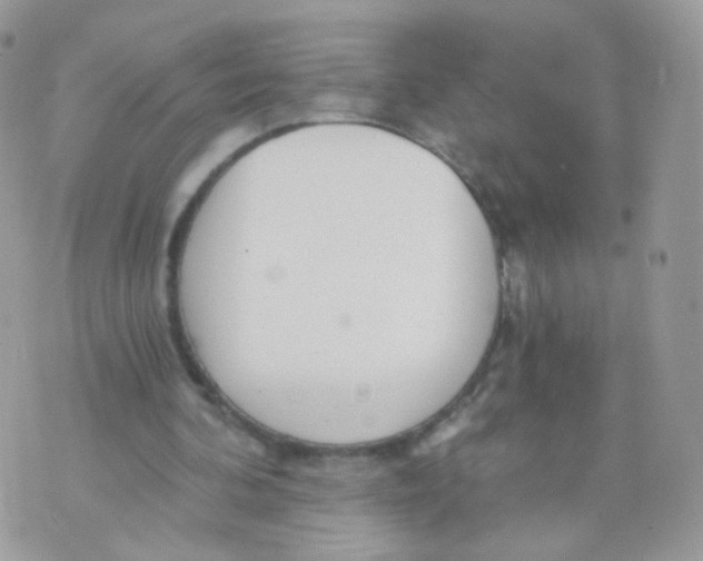 X0000071330292200607212014