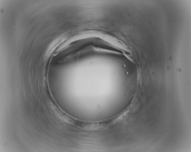 X0000071330293200607212014