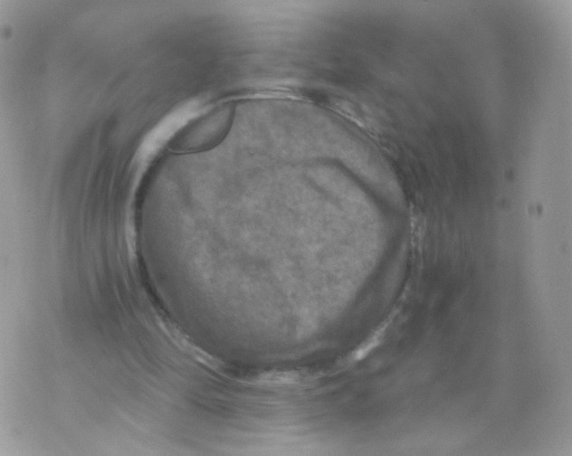 X0000071330294200607212014