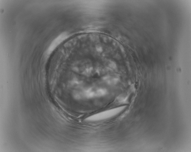 X0000071330295200607212014