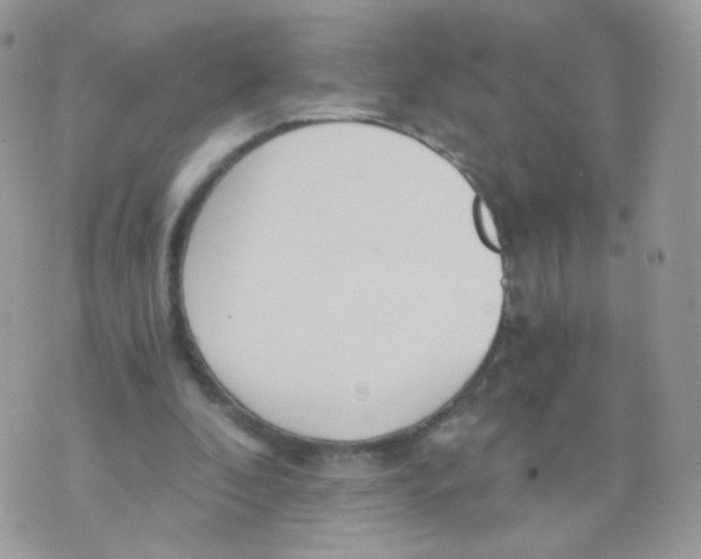 X0000071330296200607212014