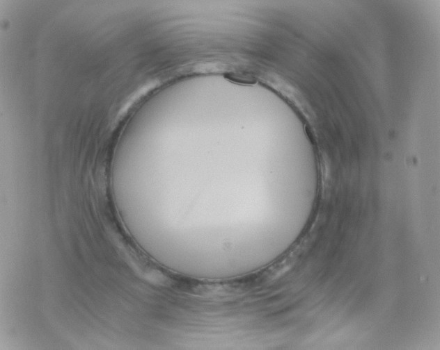 X0000071330297200607212014