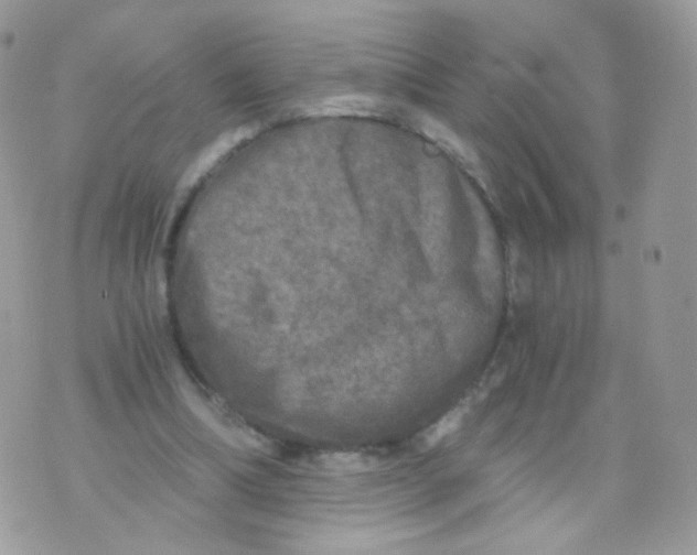 X0000071330298200607212014