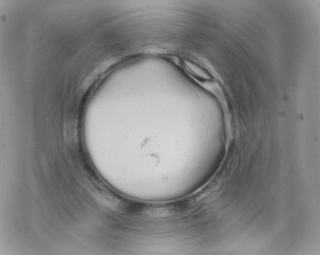 X0000071330299200607212014