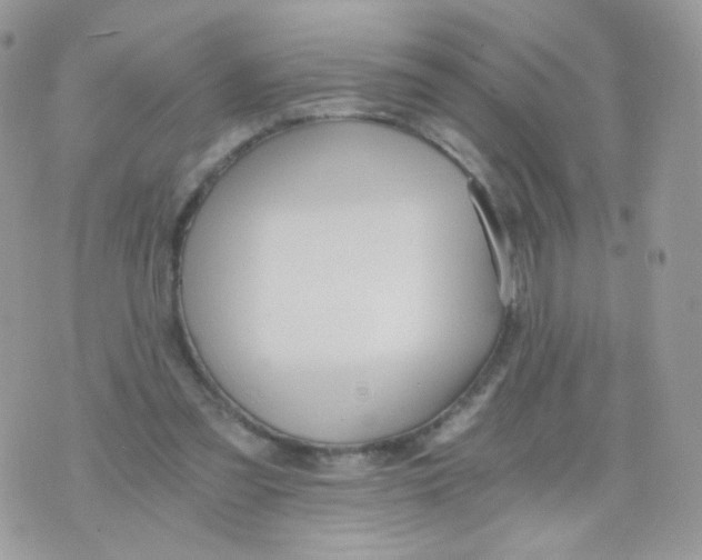 X0000071330301200607212014