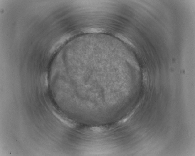 X0000071330302200607212014