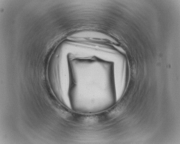 X0000071330303200607212014