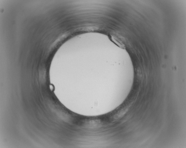 X0000071330304200607212014