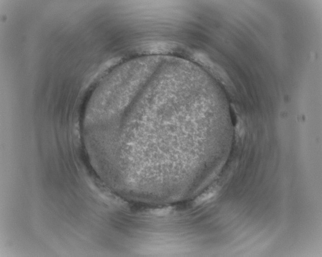 X0000071330306200607212014