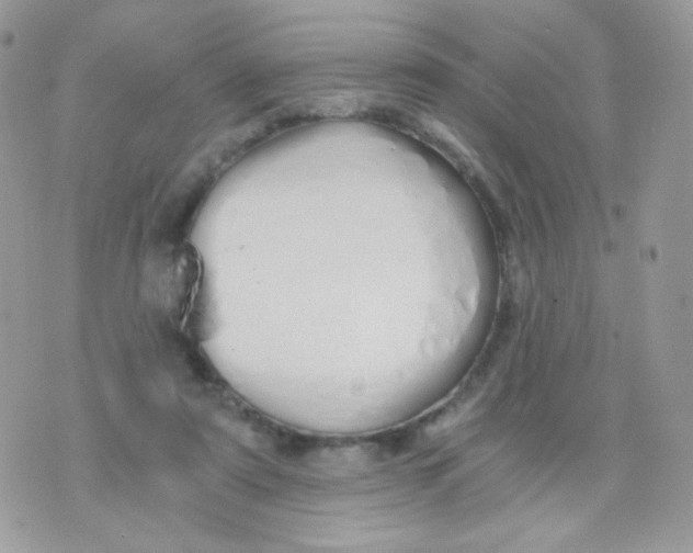 X0000071330307200607212014