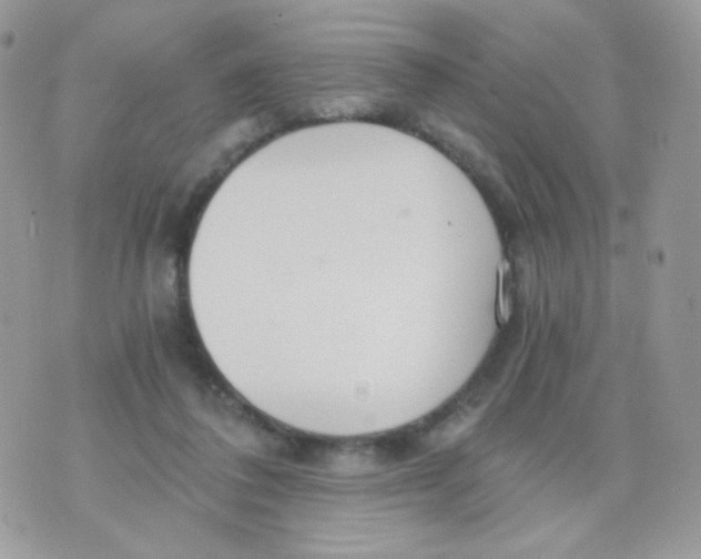 X0000071330308200607212014