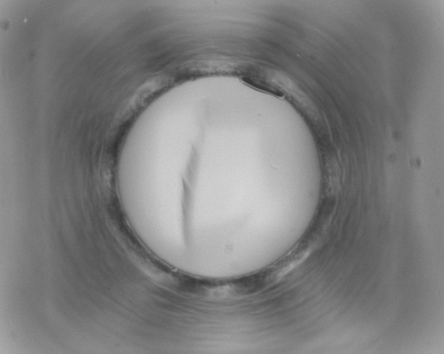 X0000071330309200607212014