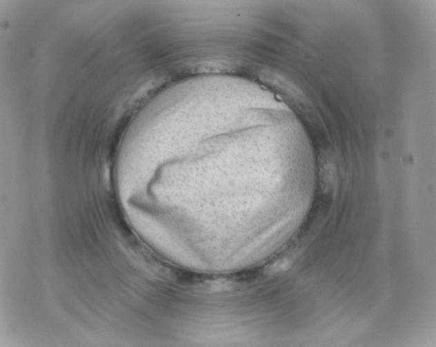 X0000071330310200607212014