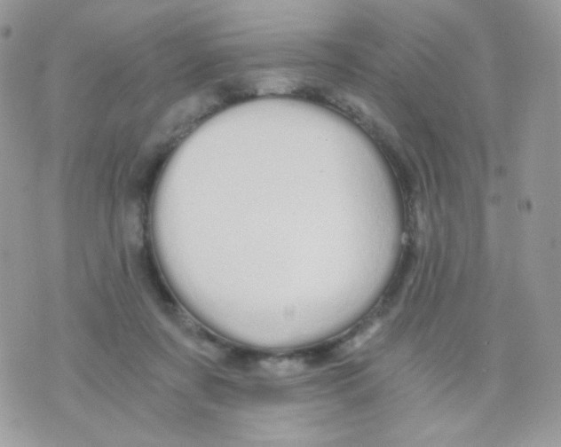 X0000071330311200607212014