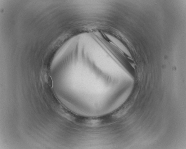 X0000071330313200607212013