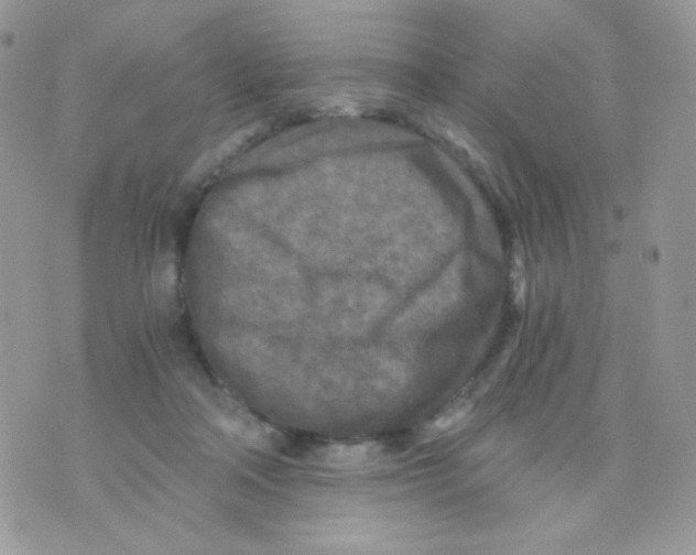 X0000071330314200607212013