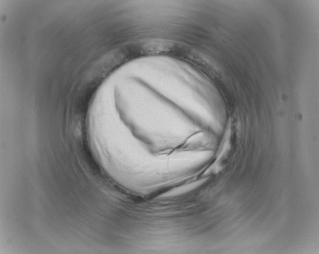 X0000071330315200607212013