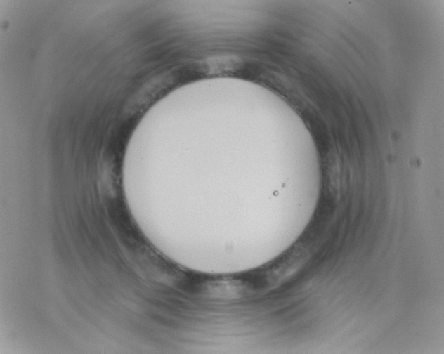 X0000071330316200607212013