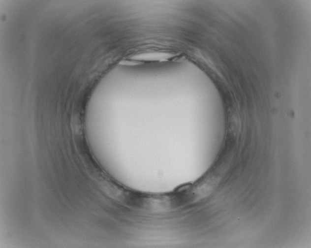 X0000071330317200607212013