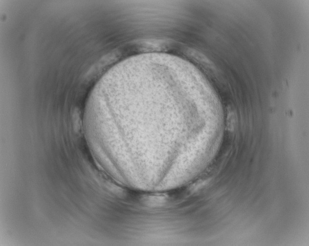 X0000071330318200607212013