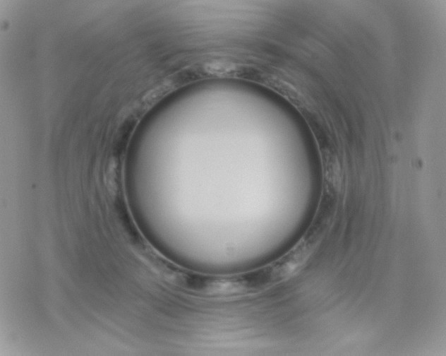 X0000071330319200607212013