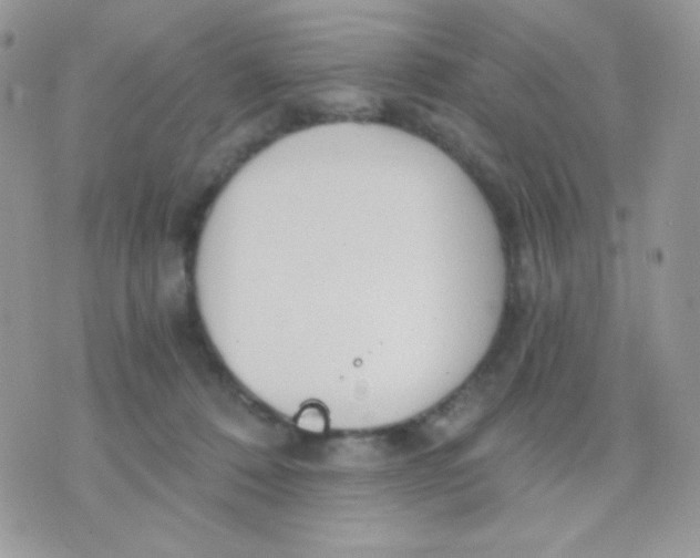 X0000071330320200607212013