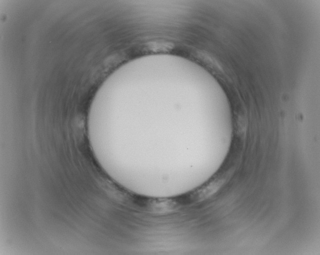 X0000071330321200607212013