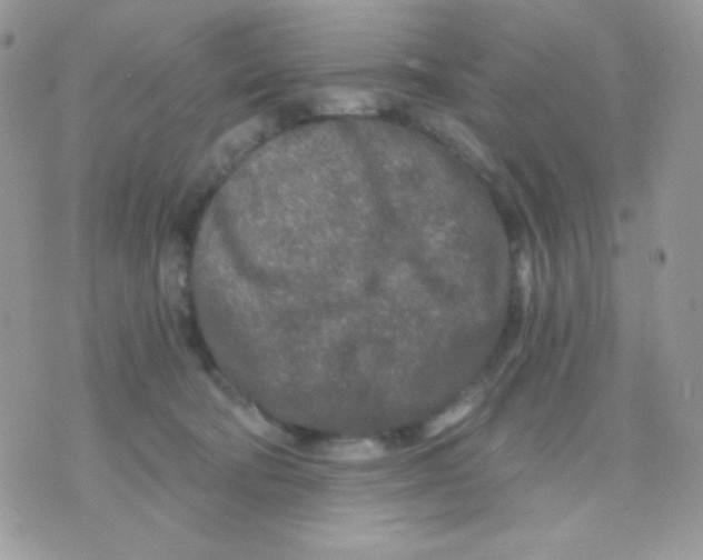 X0000071330322200607212013