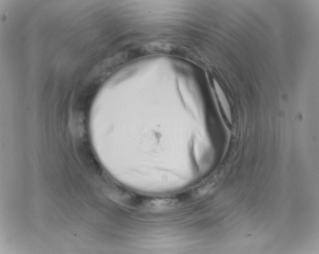 X0000071330323200607212013