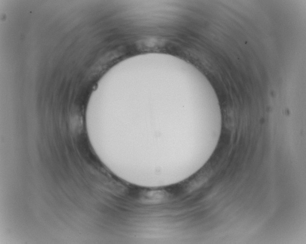 X0000071330324200607212013