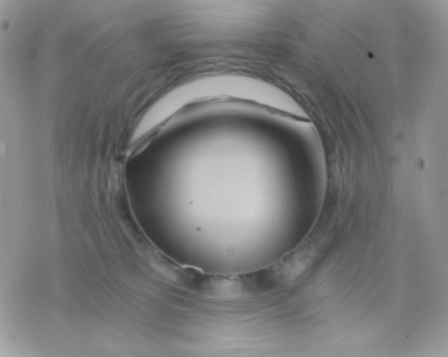 X0000071330325200607212013