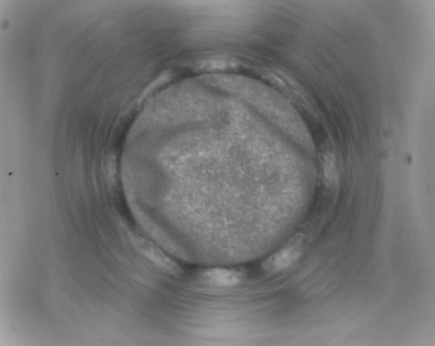 X0000071330326200607212013