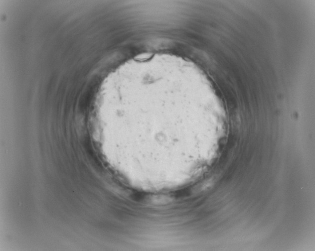 X0000071330327200607212013