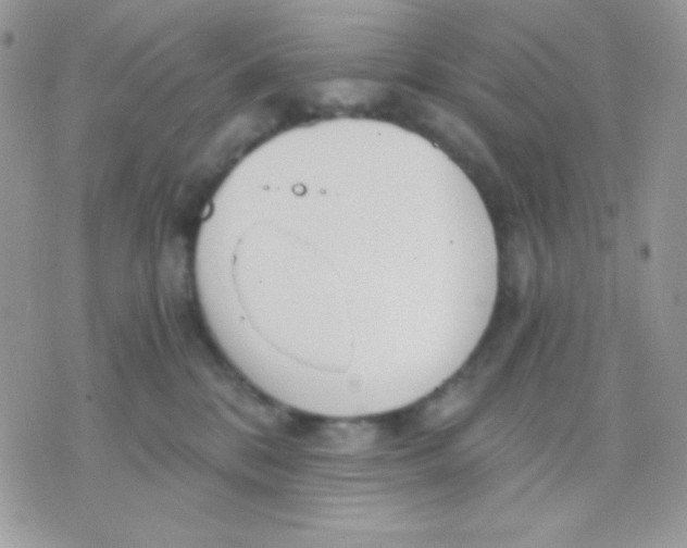 X0000071330328200607212013