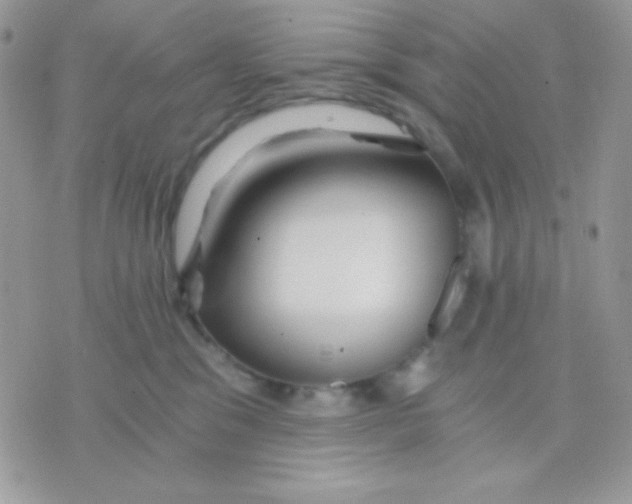 X0000071330329200607212013