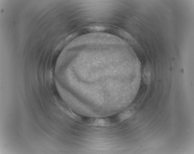 X0000071330330200607212013