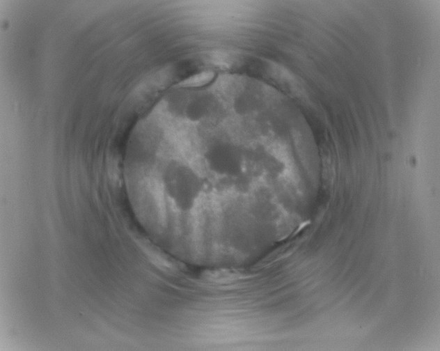 X0000071330331200607212013