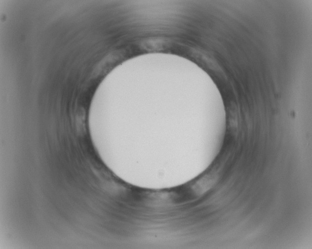 X0000071330332200607212013