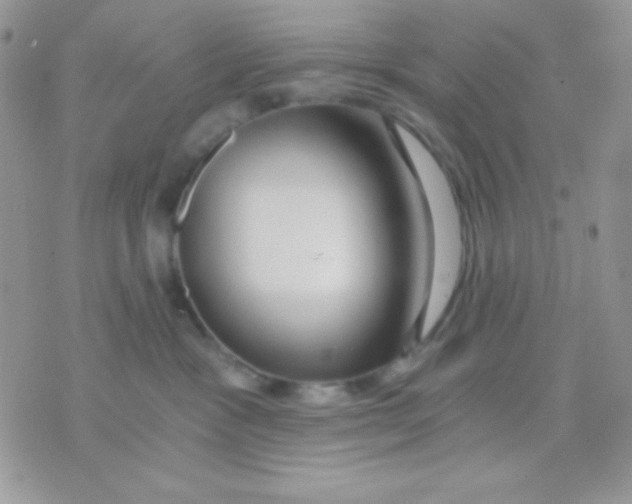 X0000071330333200607212013