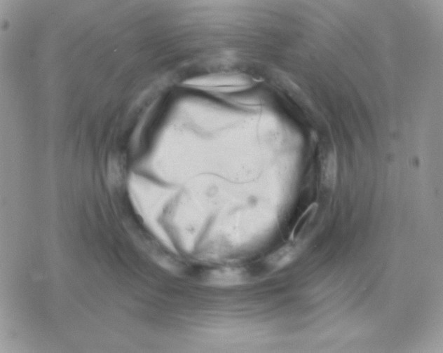 X0000071330335200607212013