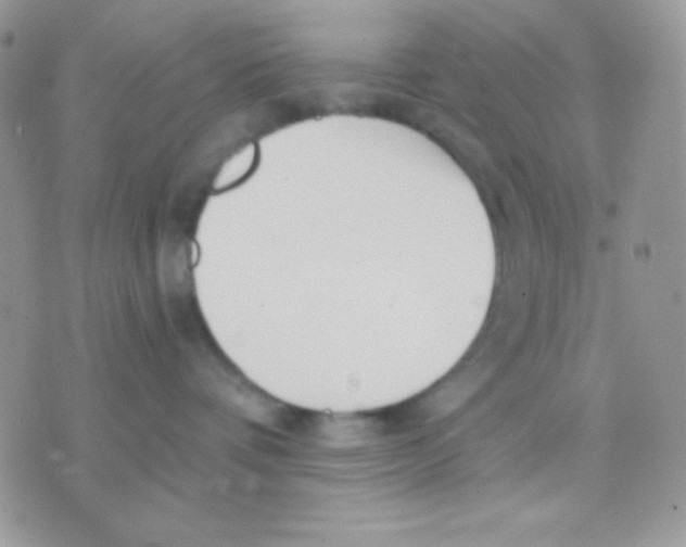 X0000071330336200607212013