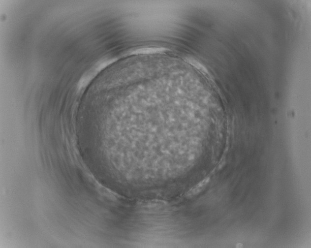 X0000071330337200607212012