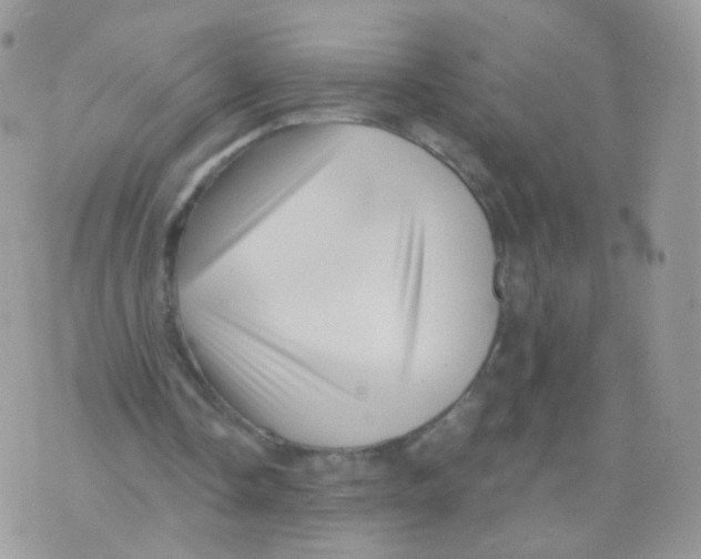 X0000071330338200607212012