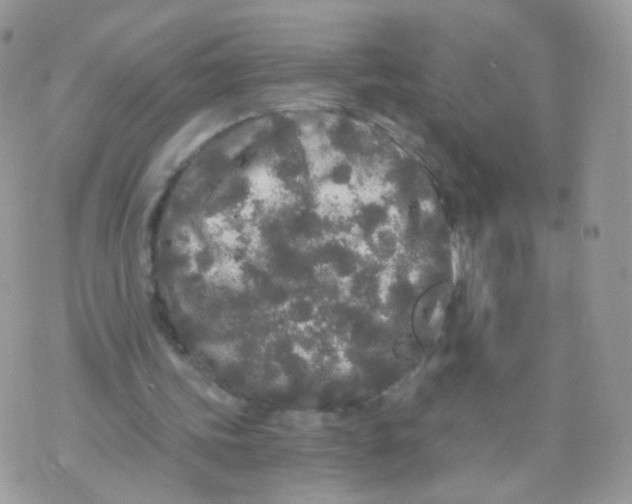 X0000071330339200607212012