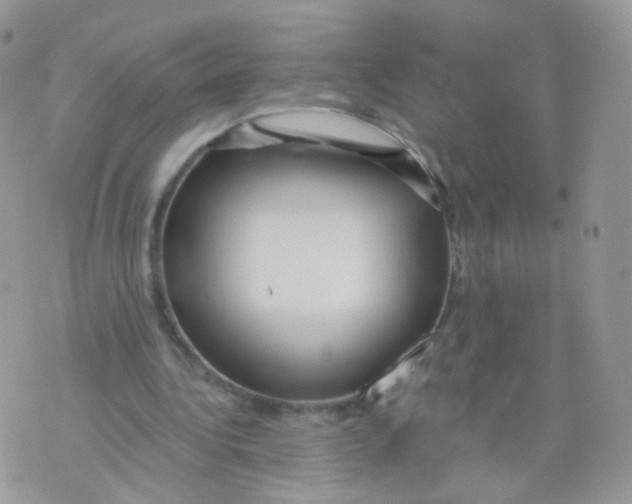 X0000071330340200607212012