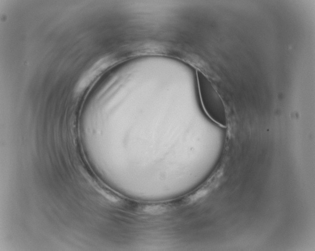 X0000071330341200607212012