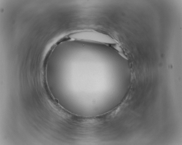 X0000071330342200607212012