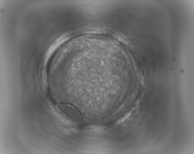 X0000071330343200607212012