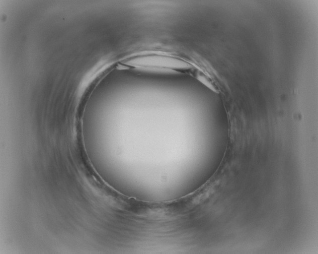 X0000071330344200607212012